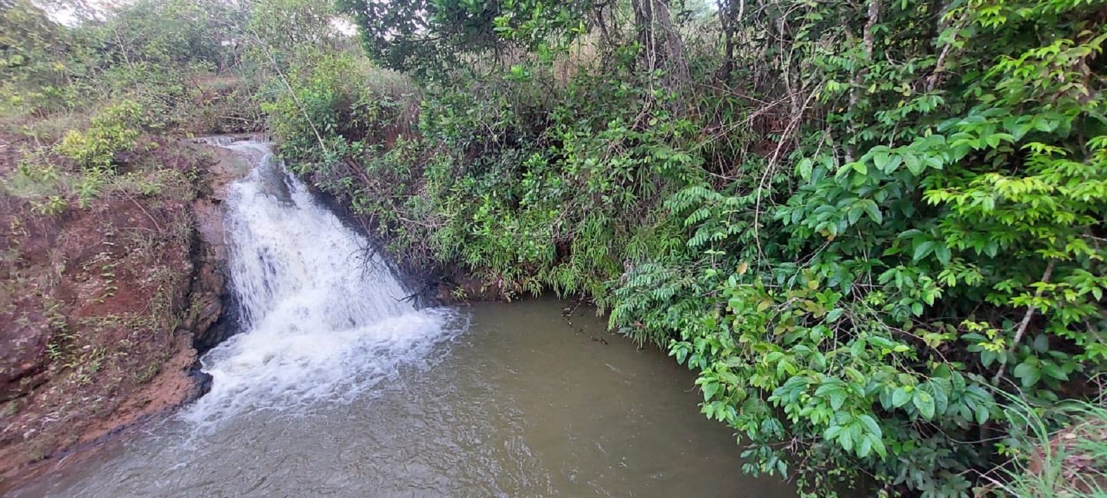 image_6483441 (11).JPG