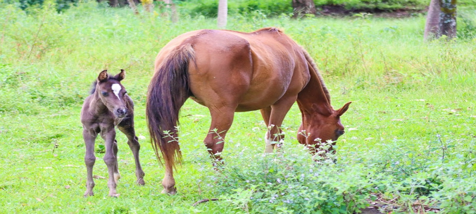 WhatsApp Image 2023-04-26 at 14.07.13 (2).jpeg