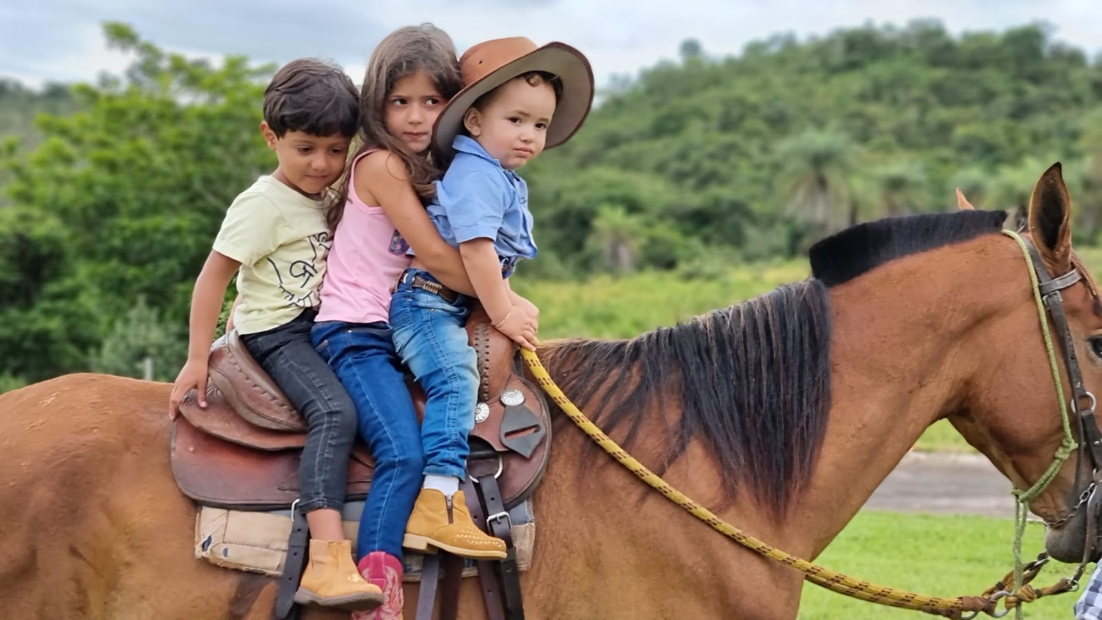 WhatsApp Image 2023-04-26 at 13.37.58.jpeg