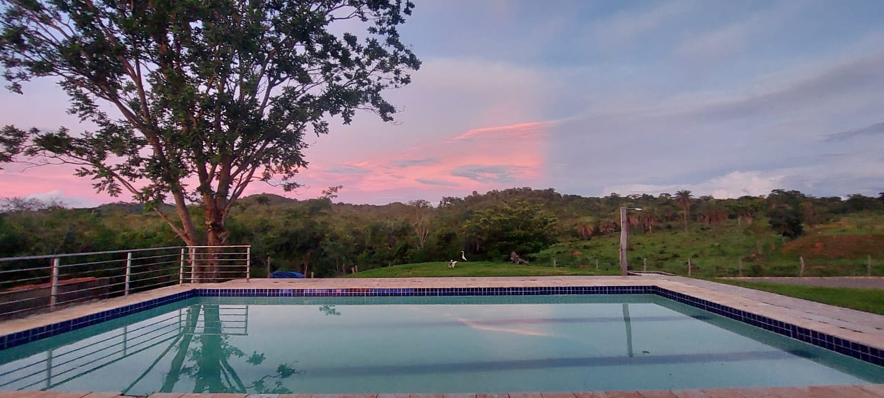 image_6483441 (2).JPG